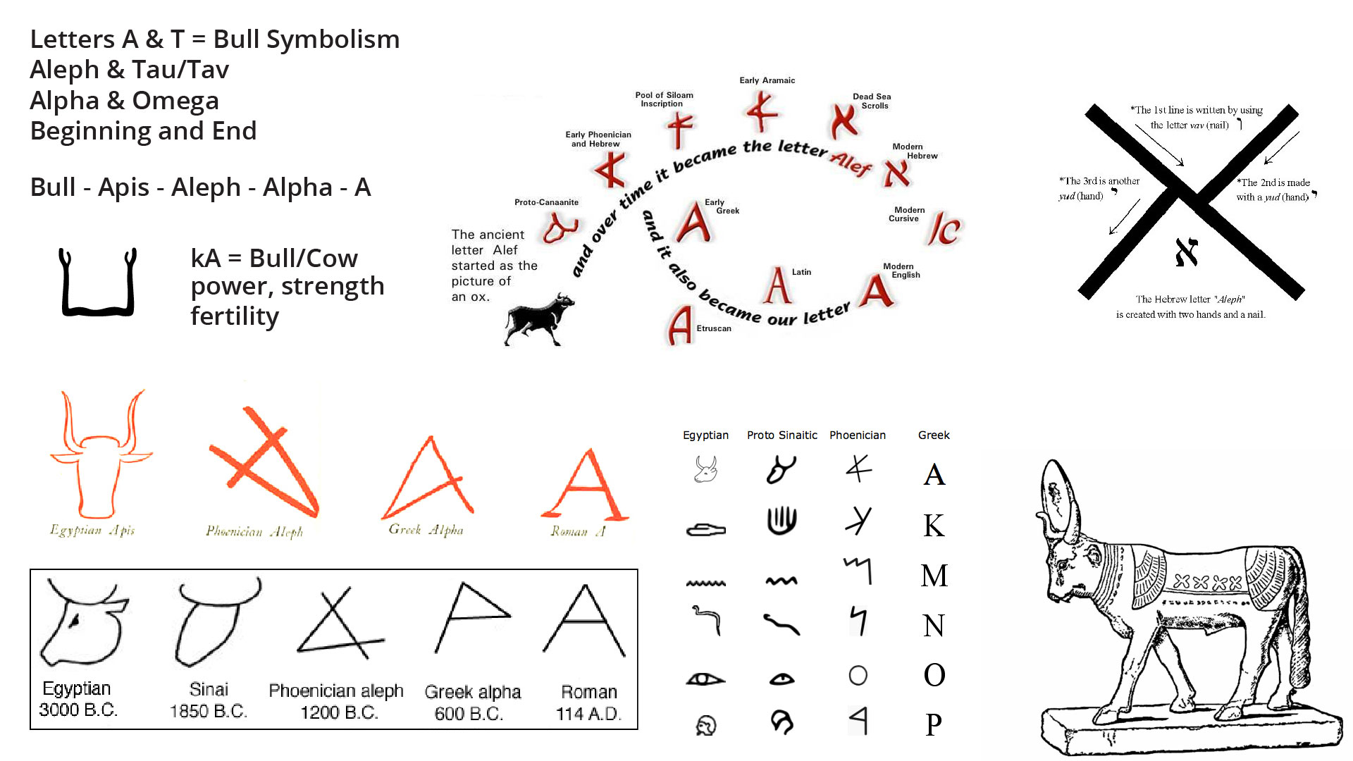 Egyptian Ka, Bull, Alphabet & Ankh Symbolism